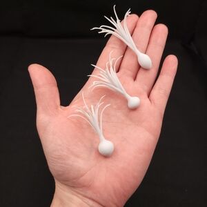 White Soft Plastic Fishing Lures